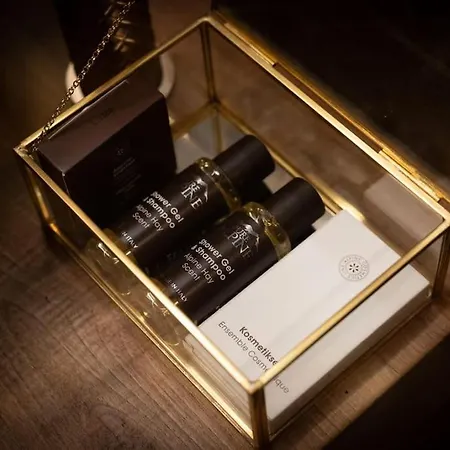 شاليه Ad Maiora Walser With *