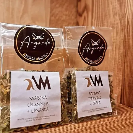 Ad Maiora Walser With ألانيا فالسيزيا